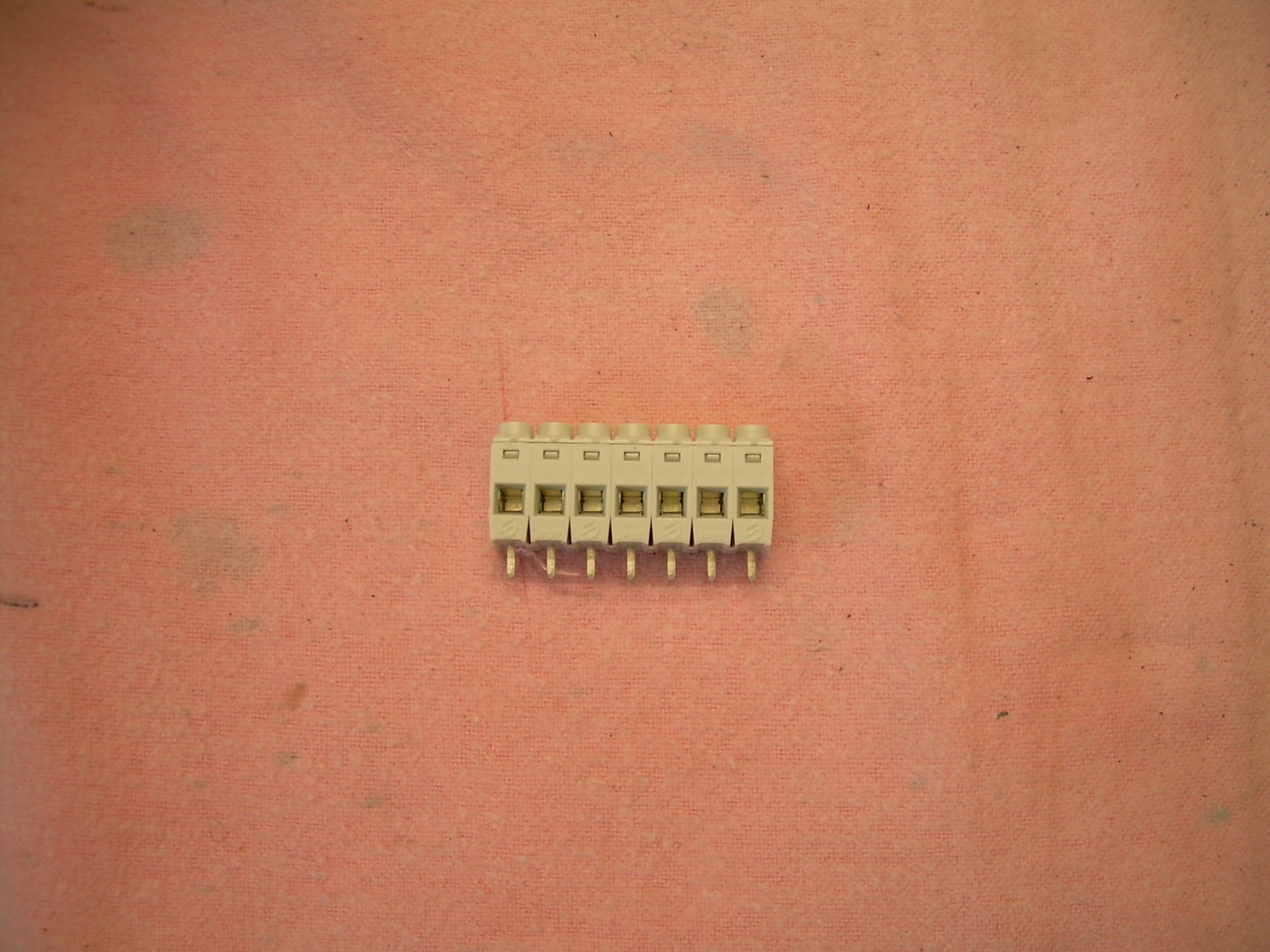 DSCN6693.JPG