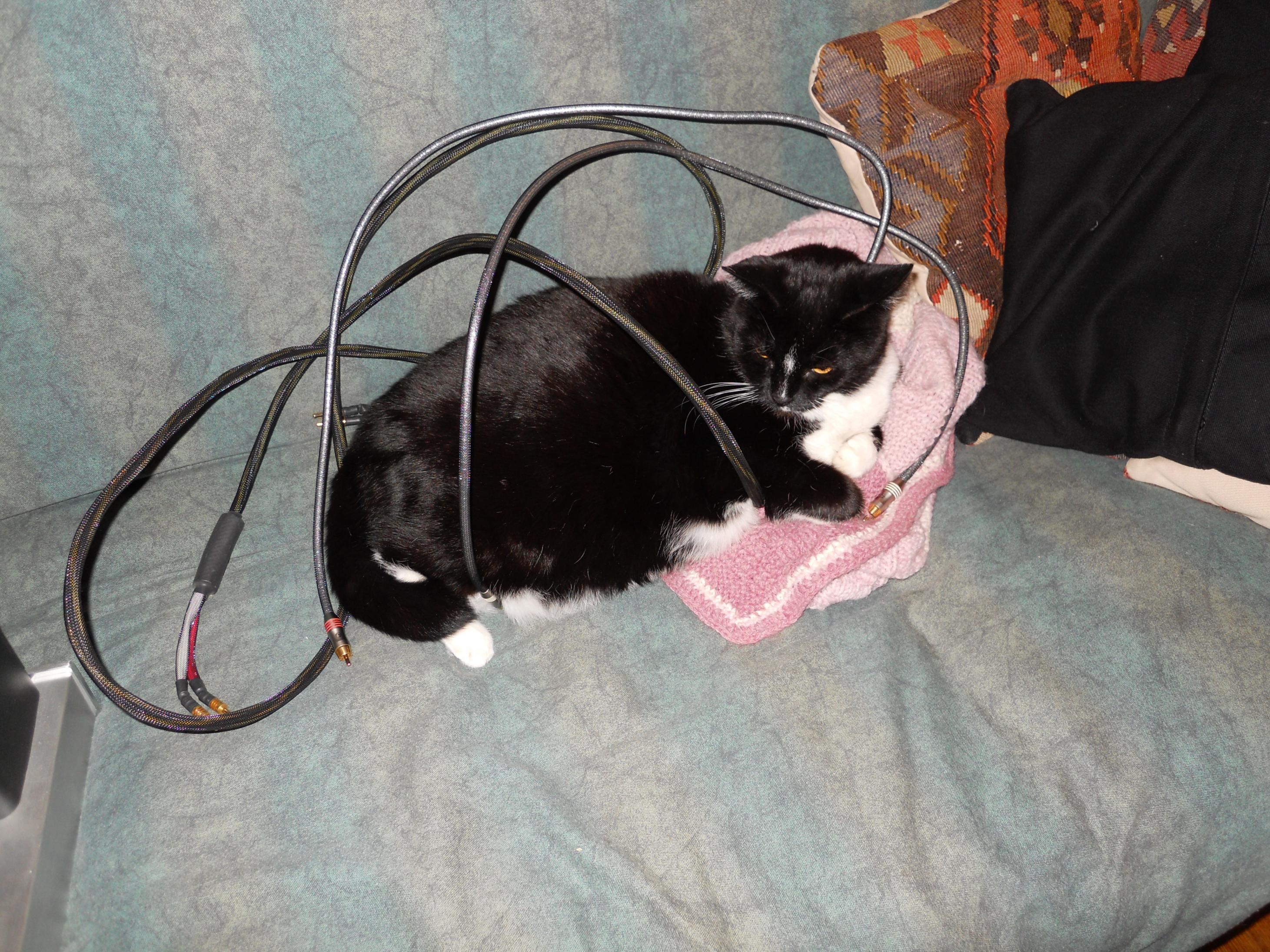 DSCN7502.jpg