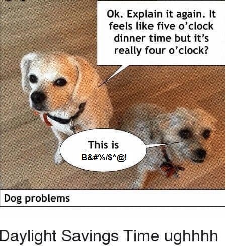 DST_dogs.jpg