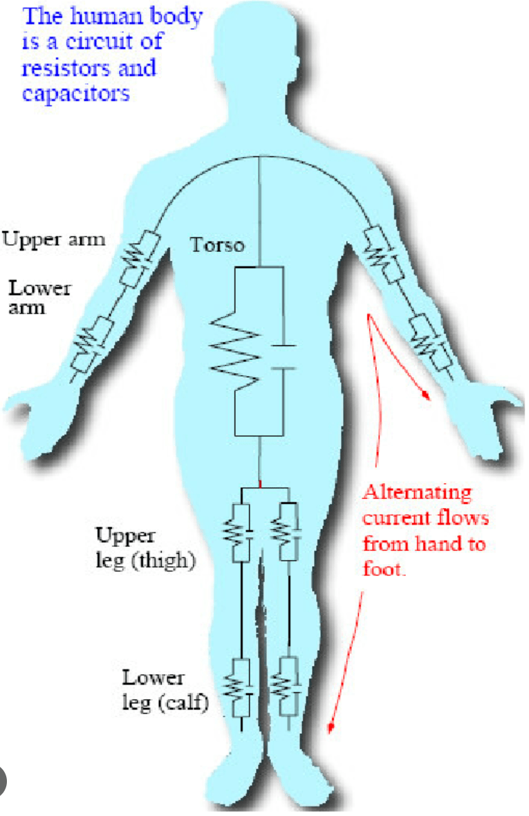 Electrical model human body.png