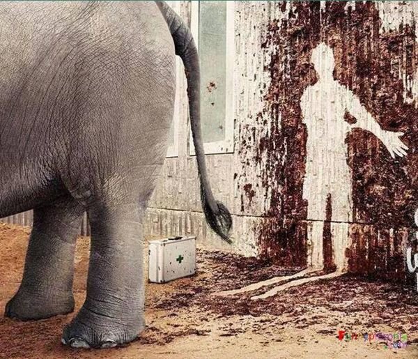 ElephantExplosiveDiaria.jpg