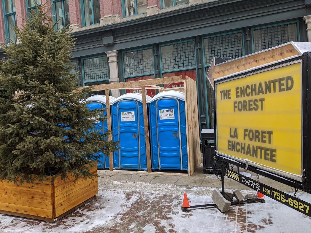 enchanted forest.jpg