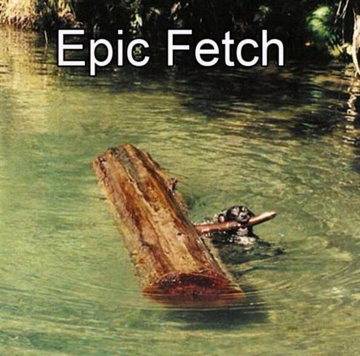 EpicFetch.jpg