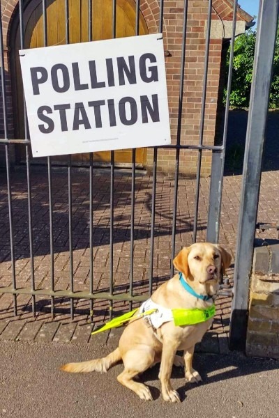 Eric the Guide Dog.jpg