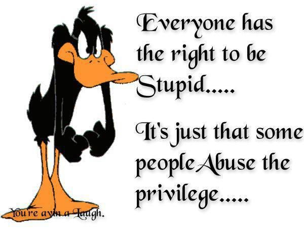 EVERYONE HAS THE RIGHT TO BE STUPID.jpg
