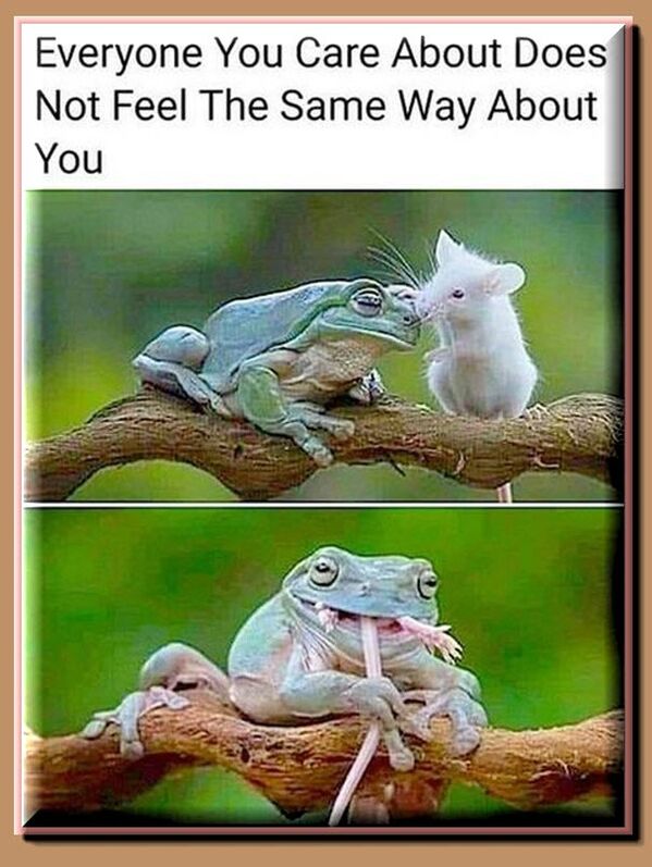 EveryoneYouCareAboutDoesNotFeelTheSameWayAboutYou.jpeg