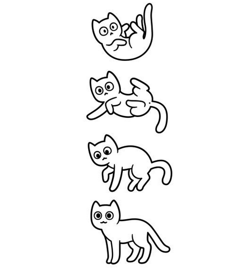 Falling Cat.png