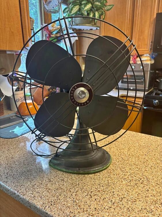 fan.jpeg