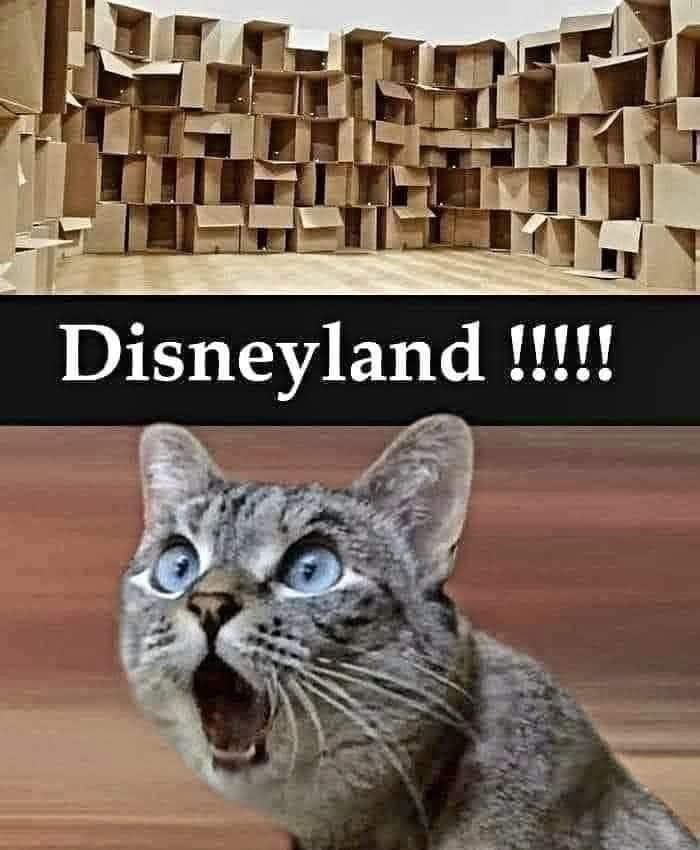 FB_IMG_1736532693362.jpg