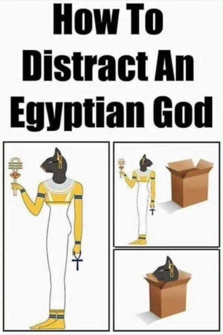 Fh-J6V2XEAEQJyO.jpg