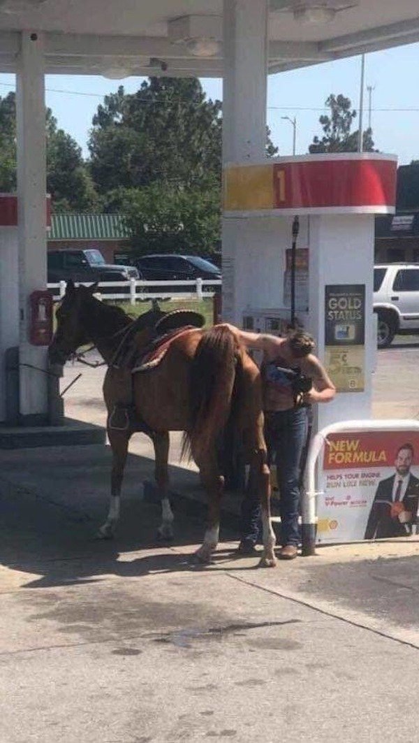 FillingUpTheHorseAtTheGasStation.jpg