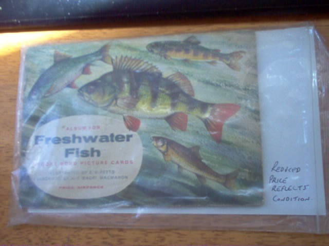 Fish Teacards from PG Tips.jpg