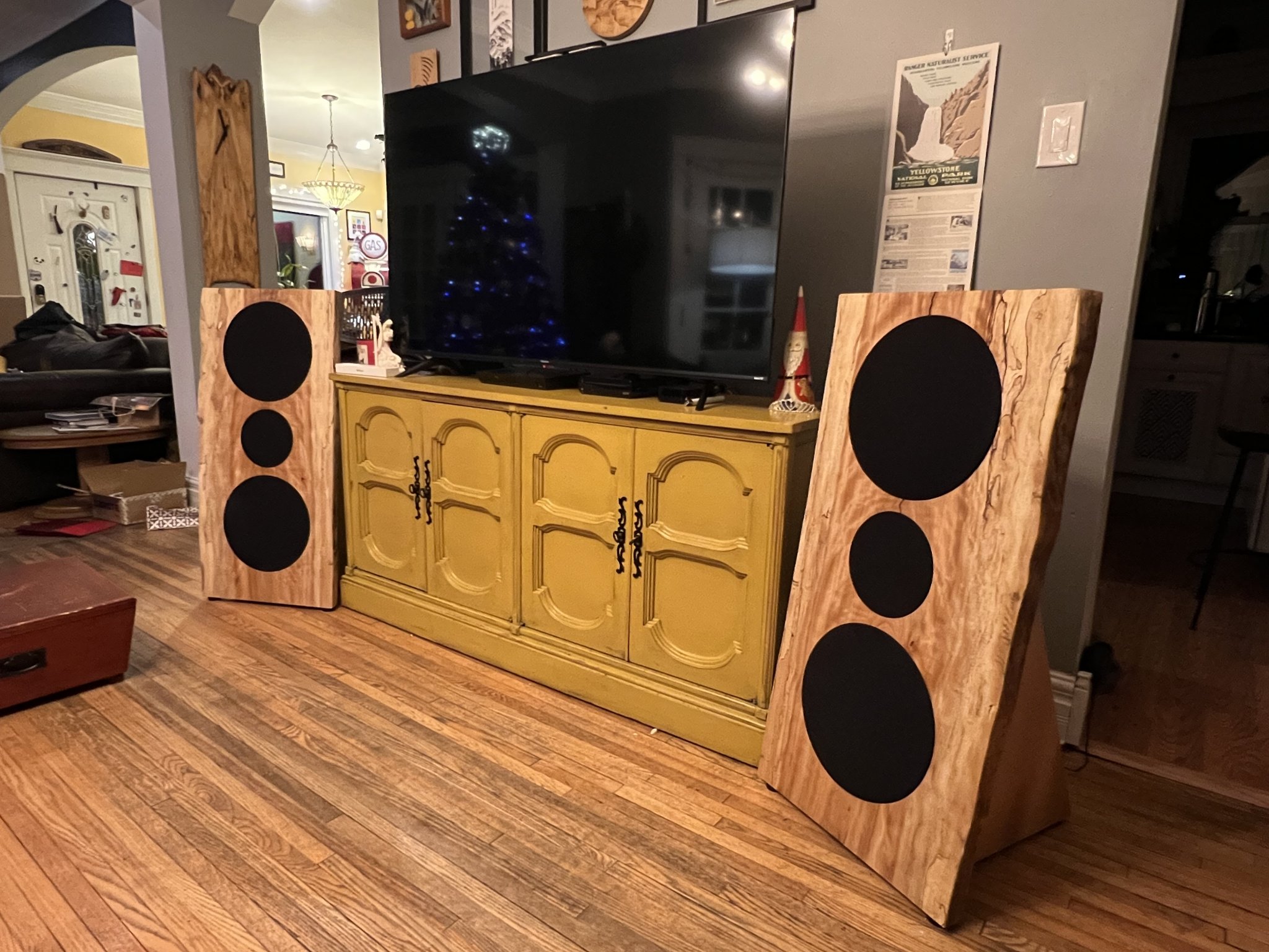 flanagangster_hometheater_3329.jpeg