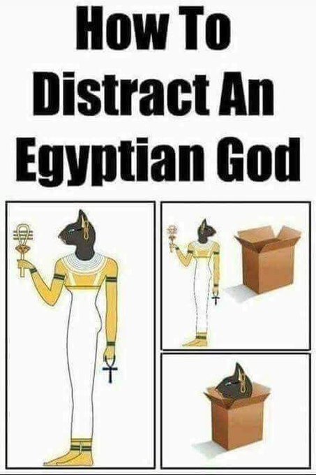 FoxxNgfXX0AUSLjI.jpg