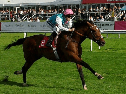 Frankel.png