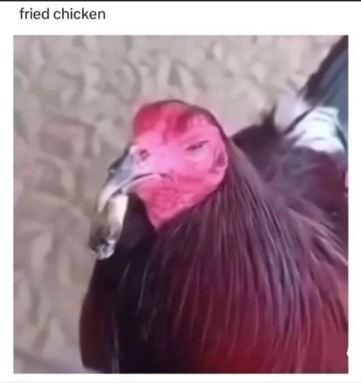FriedChicken.jpg