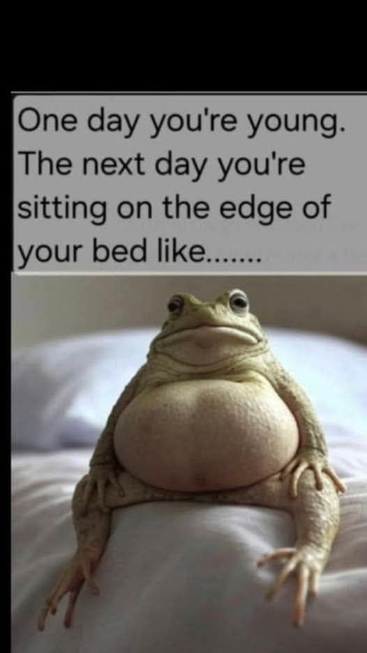 Frog.jpg
