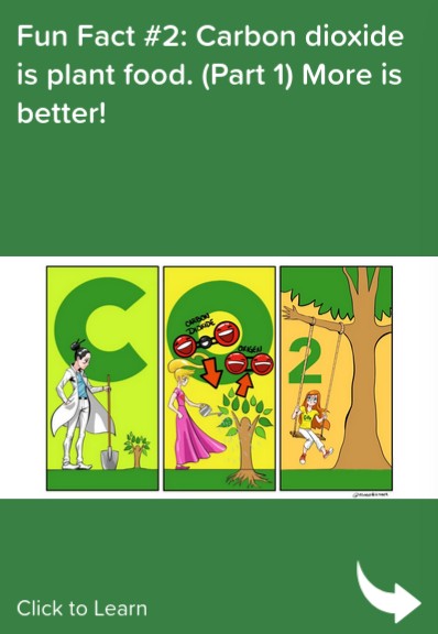 Fun Fact 2.jpg