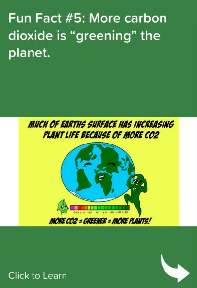 Fun Fact 5.jpg