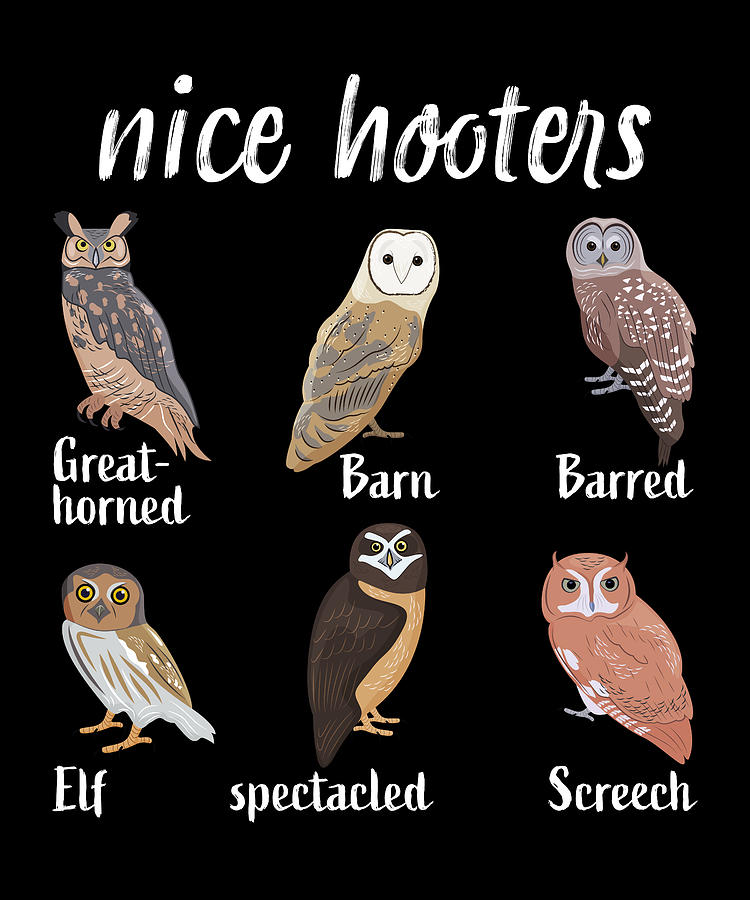 funny-owl-pun-nice-hooters-bird-ornithology-gifts-qwerty-designs.jpg