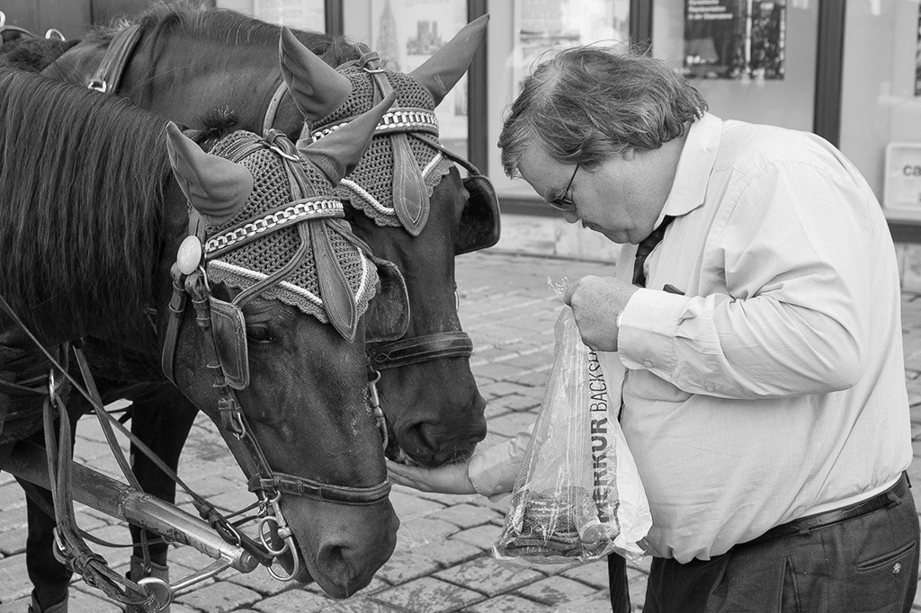 Fürsorglich_20130717.jpg