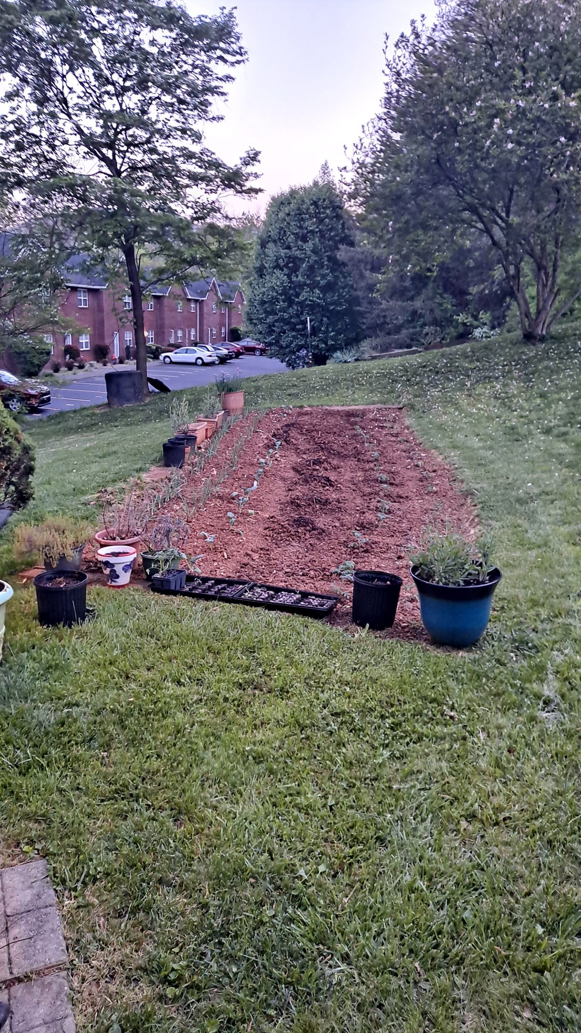 Garden.jpg