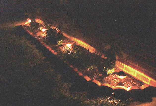 garden-nighttime.jpg
