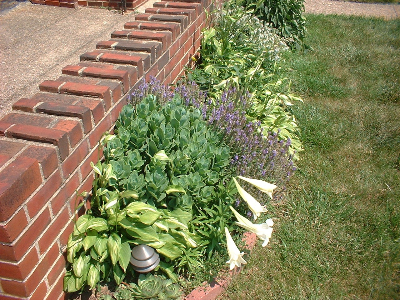 garden2012-2.JPG