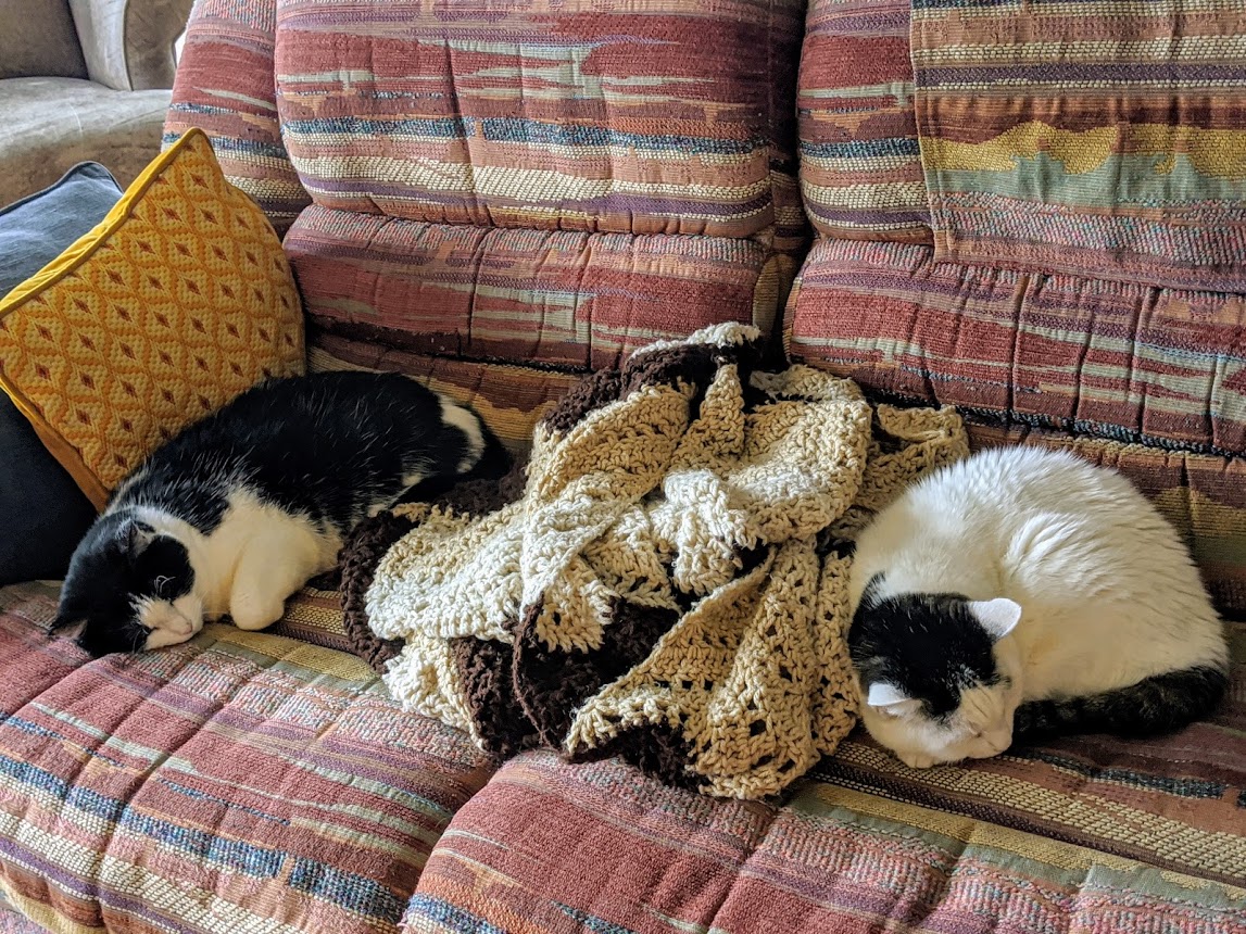 Grandcats.jpg