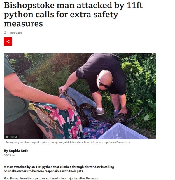 Great Snakes.jpg
