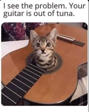 guitar_no_tuna.jpg