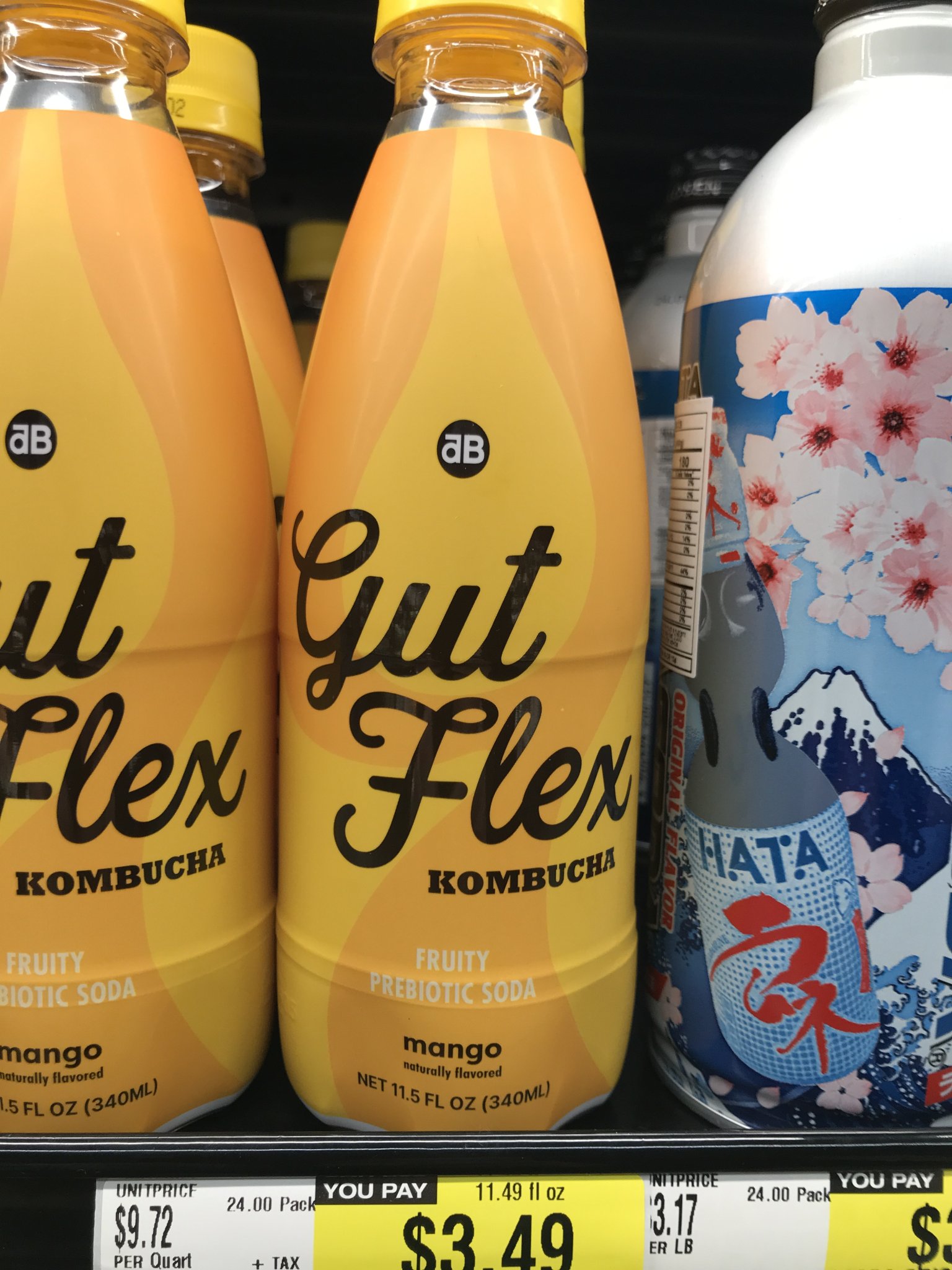 Gut Flex.JPG