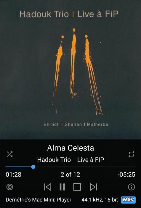 Hadouk Trio - Live FIP.jpg