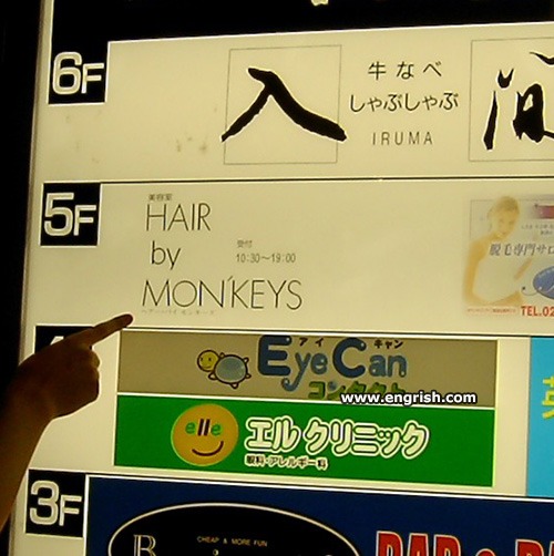 hair-by-monkeys.jpg