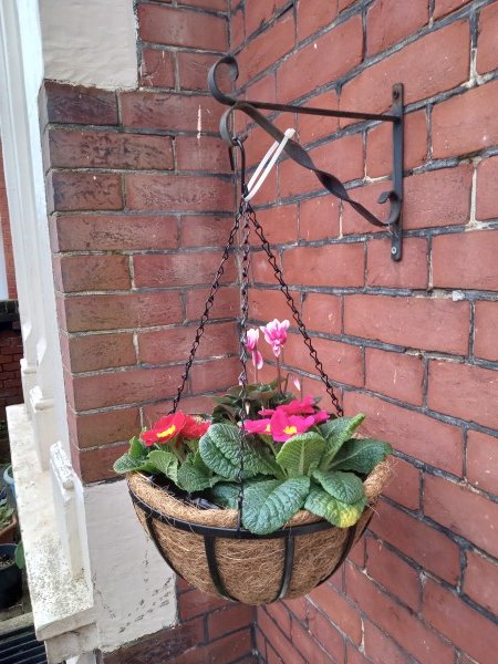 Hanging Basket 1.jpg