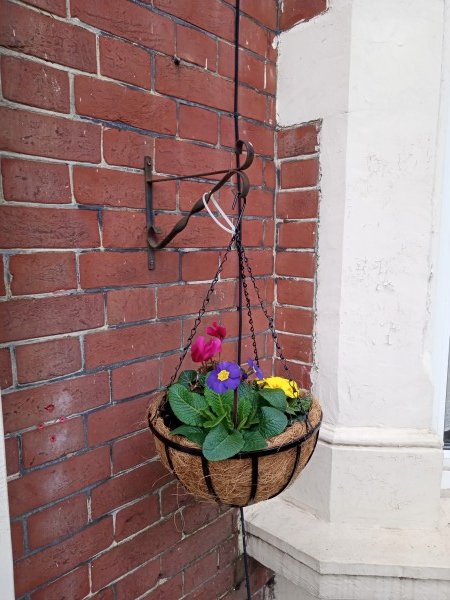 Hanging Basket 2.jpg