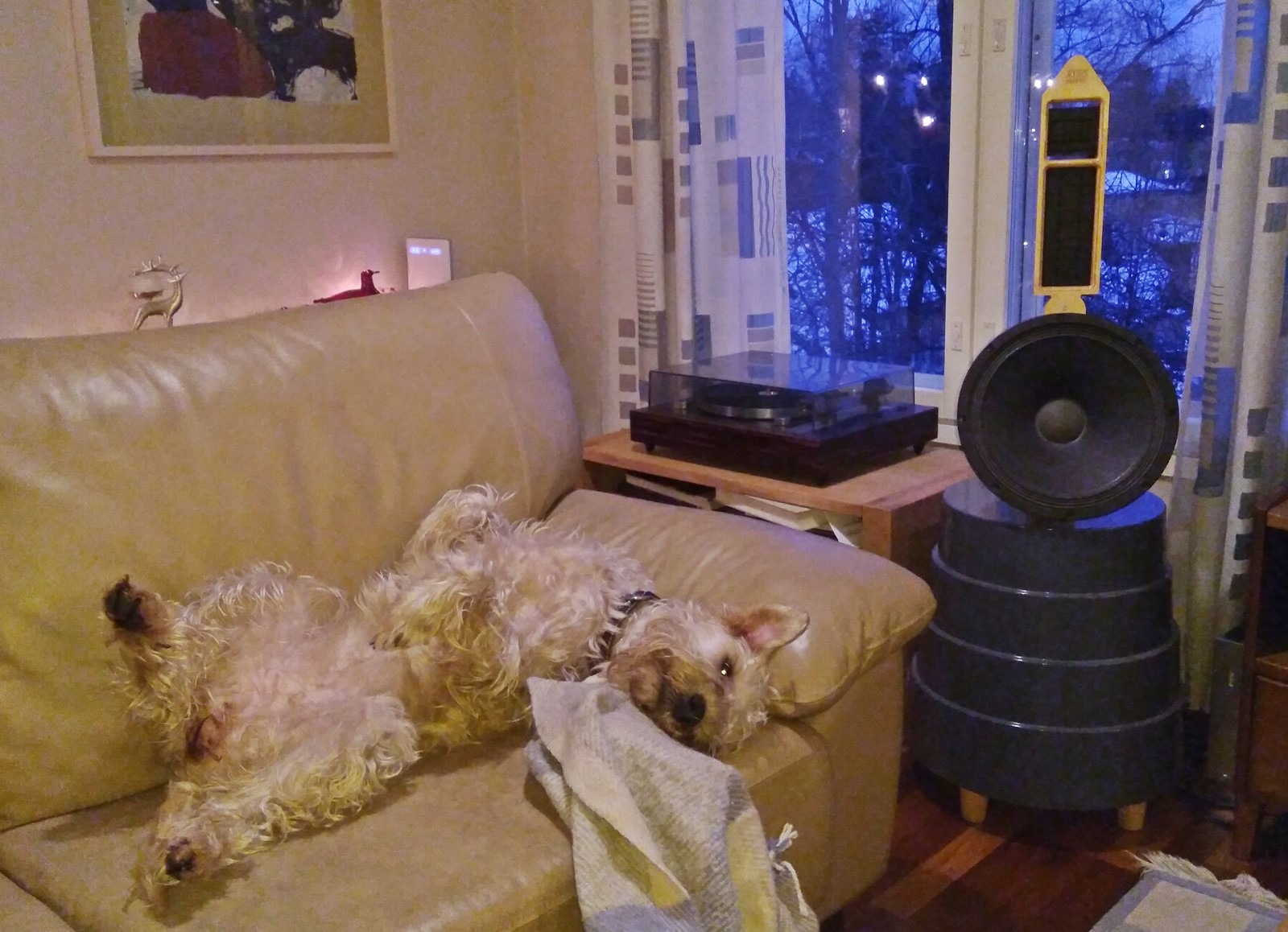 her masters voice.jpg