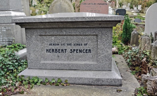 Herbert Spencer.jpg