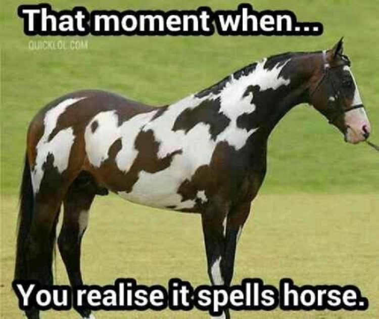 Horse.jpg