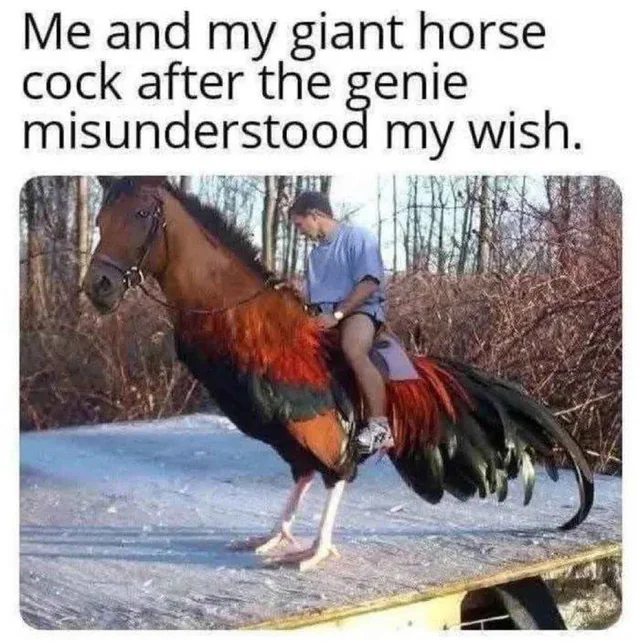 horsecock-wish-gone-wrong-v0-y2irkymsaxbe1.webp