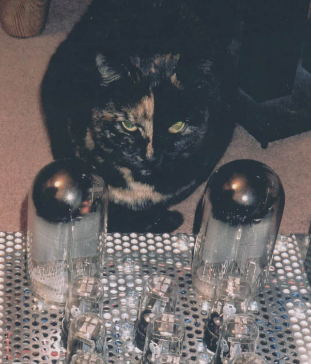 Hot Cathode.jpg