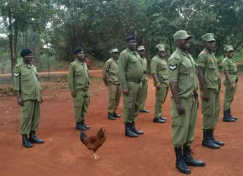 I-CameBack as AChicken.jpg