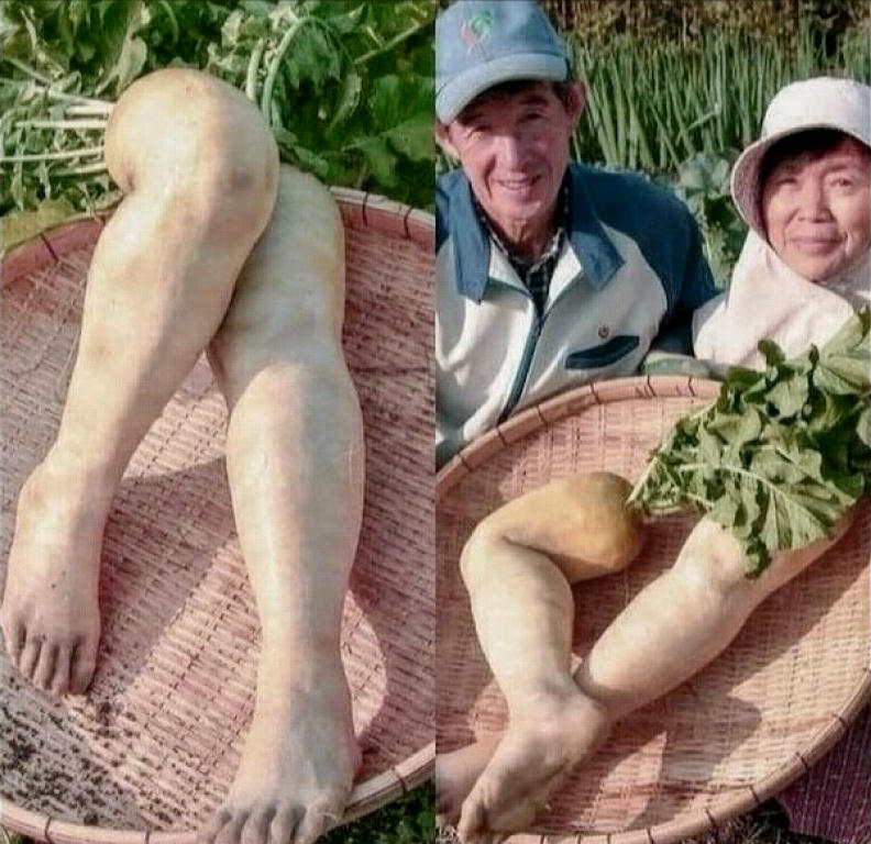 I'llHaveTheLegs.jpg