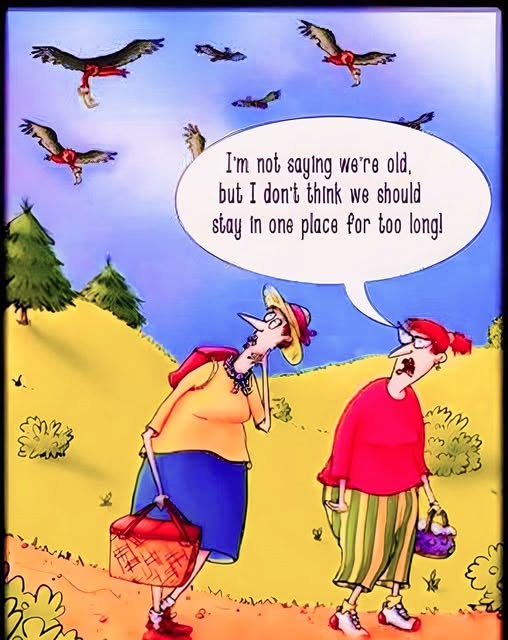 I'm not sayin we're old.jpg