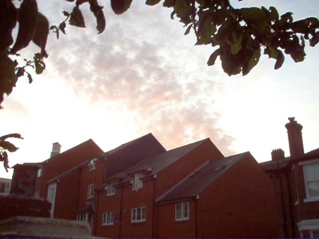IM000970.JPG