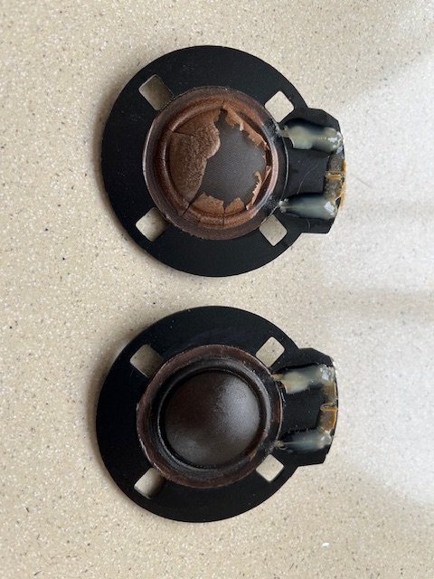 image1.jpeg