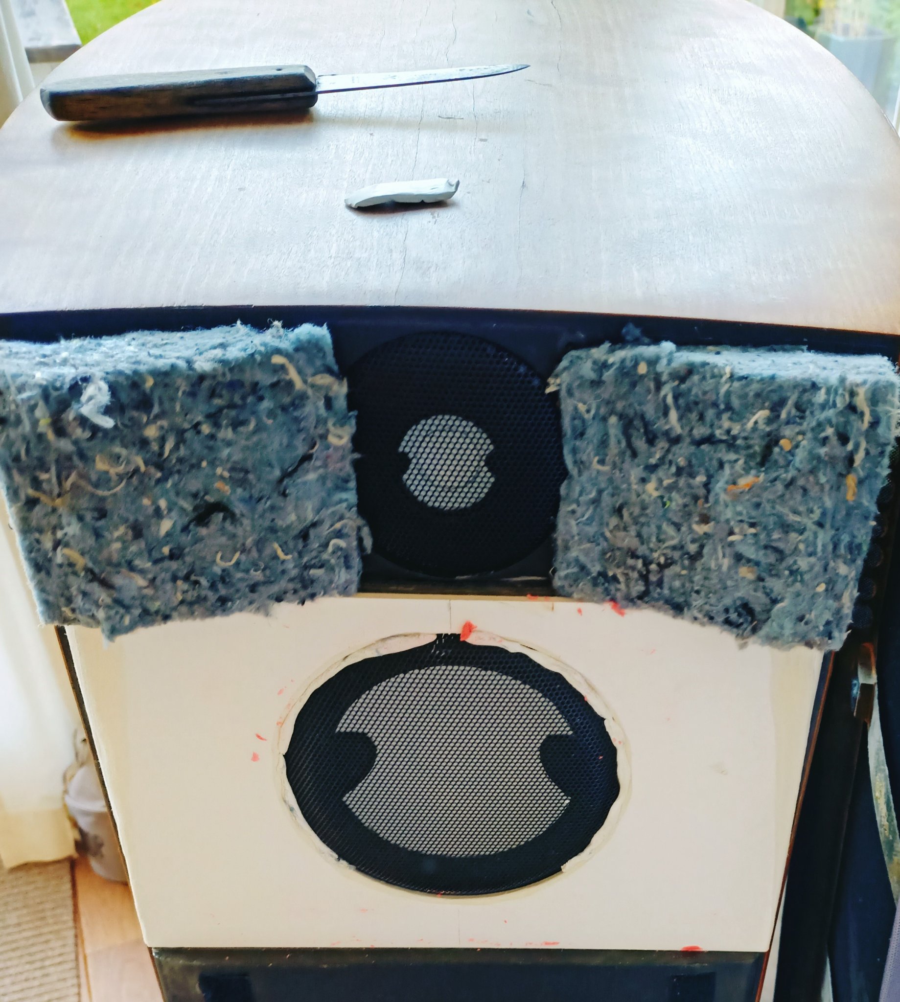 IMG20221030093325-cropped.jpg