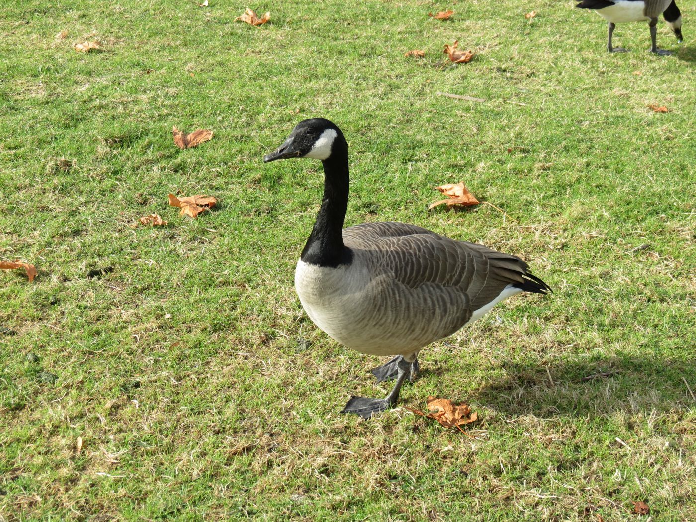 IMG_0258.jpg