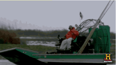 IMG_0337.gif