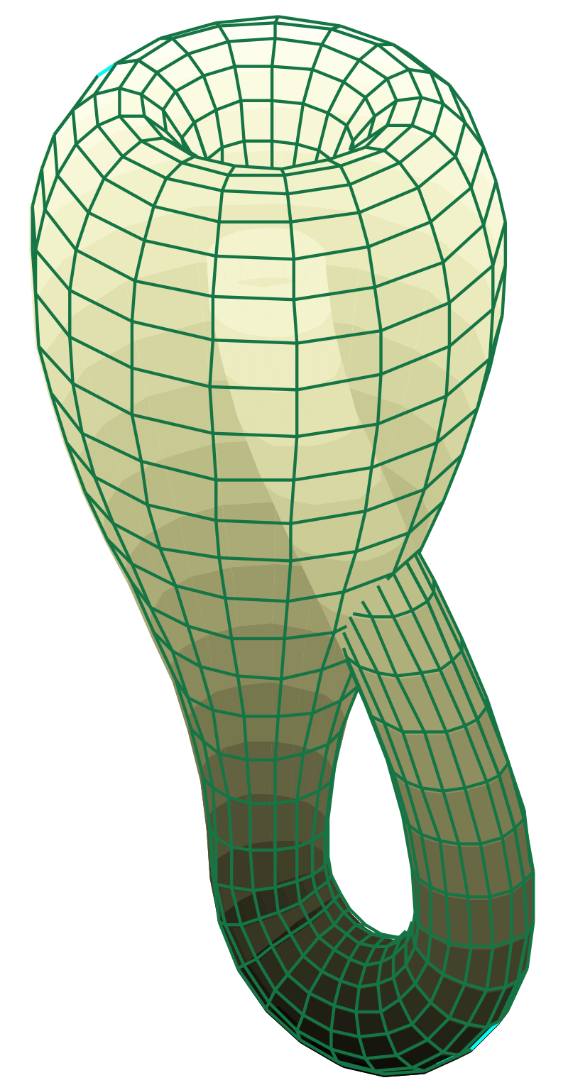IMG_0724.png